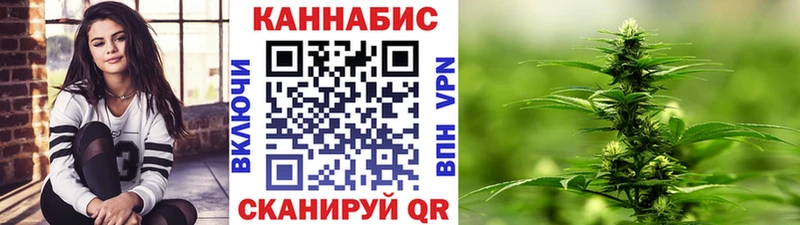МЕФ Дрезна