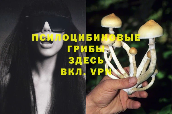 кокаин Алексеевка